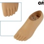 Since1978중앙보조기,단축 의족 발(Single Axis Foot with Toes)