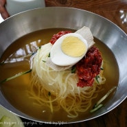 동래밀면 ♥ 부산 동래경찰서앞 맛집