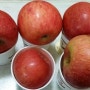 [사과가격]-맛있는사과가격.아삭아삭한사과가격.정보입니다.