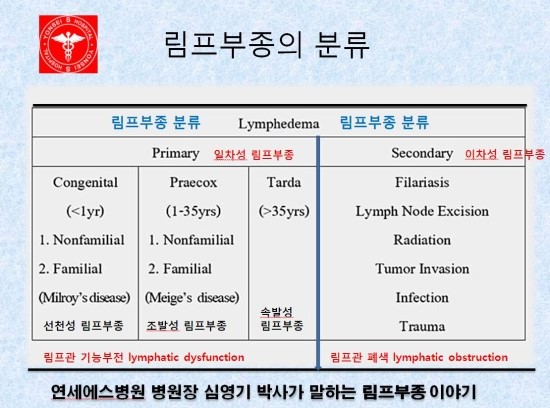 [림프부종] 림프부종의 종류 및 분류 : 네이버 블로그