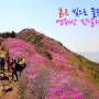 여수여행 - 여수 영취산 진달래 축제 / 등산코스