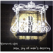 Jesu, joy of man's desiring /팝페라가수 오윤석 - EL Tower 오르간연주회 협연