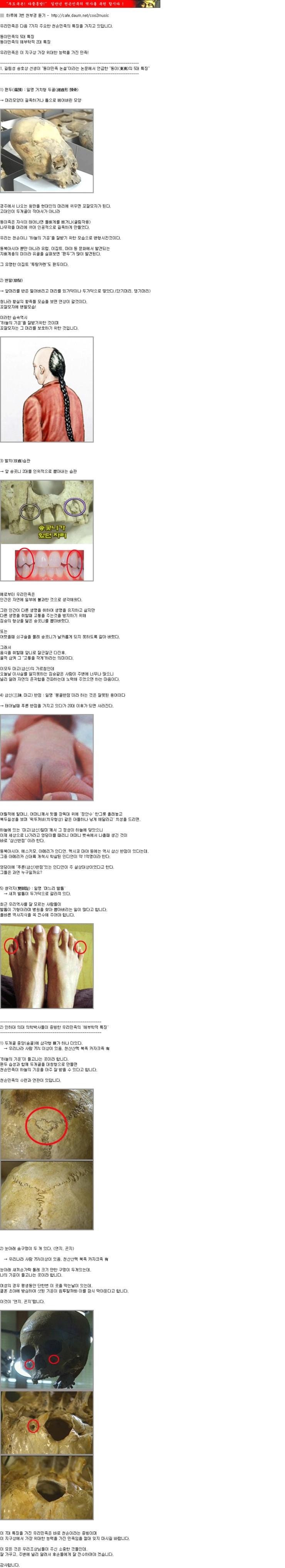 무료 이미지 : 머리, 눈, 척골가 있는, 비열한, 뱀, 인간의 몸, 턱, 유기체, 비늘이 파진 파충류, 육상 동물, 주둥이, 아메리칸  악어, 매크로 사진, 야생 생물, Python family, 갈고리 발톱, 대장균, 독사 같은, image size:740x4076