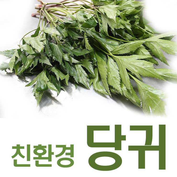 당귀의효능? 당귀잎 당귀차 당귀즙 당귀뿌리 효능? by 친환경 당귀재배 파는곳 이음농업회사법인 이음뜰 쇼핑몰 추천 : 네이버 블로그