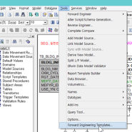 ■ ERwin_Mysql Auto_Increment Script 오류