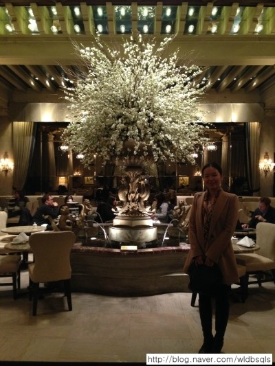 *추천* Palm Court (afternoon tea in the Drake Hotel) : 시카고 다운타운(near