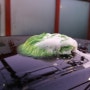 오랜만에 맘에 드는 워시미트 (Carbon collective Concours wash mitt, Limited Edition Wash Mitts – Green)