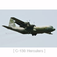 C-130 Herculers 친구들