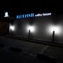 [창원 귀산] 블루피쉬(Blue fish)