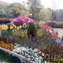서울대공원 꽃동산
