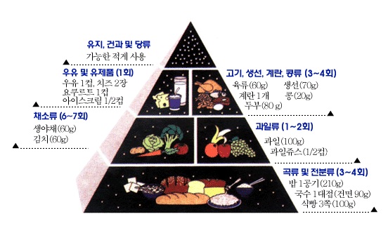 [6대 영양소] 건강에 영향을 주는 6대 영양소와 함유 식품 : 네이버 블로그