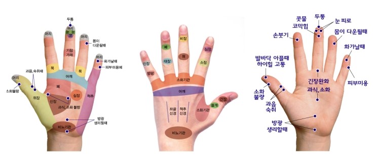지압위치를 알고 운동 합시다. : 네이버 블로그
