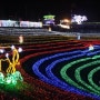 보성 녹차밭 빛 축제