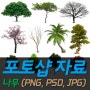 [포토샵자료] 나무(TREE) PNG소스 이미지 25장