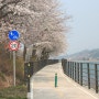 [2014. 04. 11] 금남리 자전거 도로 - 벚꽃