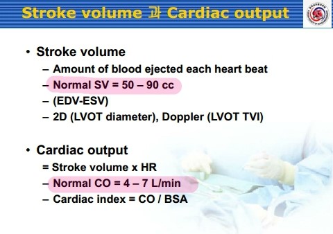 Stroke volume 계산법 : 네이버 블로그