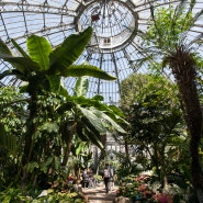 Allen Gardens Conservatory