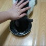 [냥님&촐랑] 고양이 구충제 먹이기 + 파나쿠어 산 + 고양이 제핀캔