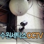 CCTV설치/씨앤씨존/CCTV설치업체/세탁소CCTV/수원CCTV/가게CCTV