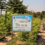 한국농수산대학 누에 키우기, 뽕 잎 따서 먹이주기