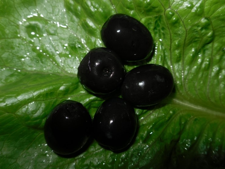 스페인 블랙올리브 - 블랙올리브 효능, 블랙올리브 먹는 법, 블랙올리브 그린올리브 효능~ : 네이버 블로그