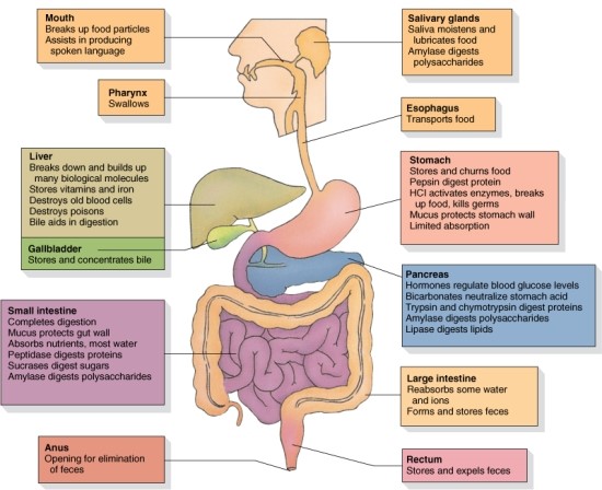 GI system : 네이버 블로그