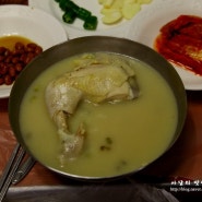 경북 청송 신촌식당 - 닭불고기와 녹두닭백숙