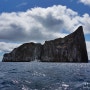 <에콰도르> Galapagos - Sancristobal, kicker rock에서 즐기는 스노클링