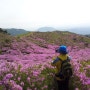 [여행/경남 황매산]장인칸막이가 다녀온 하늘과 맞닿는 드넓은 진분홍 산상화원 황매산 철쭉