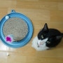[촐랑] 촐랑이와 캣잇 플레이엔스크래치 + 고양이 스크래쳐 + 고양이 장난감 + 코리안숏헤어