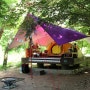 오도산 자연휴양림 ( 냥이들과 함께한 캠핑~ )