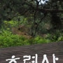 [남양주 축령산자연휴양림] 개표방송 캠핑