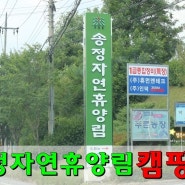 송정자연휴양림 캠핑장 명당자리 이용후기 (대구 근교 당일코스 캠핑장)