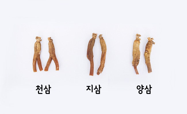 정관장 천삼(天蔘) 0.5%의 비밀! 지삼, 양삼까지~ 6년근 홍삼 구별법! : 네이버 블로그