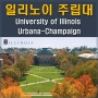 미국 명문 일리노이 주립대학교 UIUC 대학부설 미국어학연수 추천