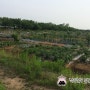 2014년 5월13일 주말농장 여섯번째 이야기- 쌈채소 첫수확~.