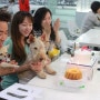 강남역 CAFE WALL에서의 펫러버스 합동생일파티 ! With 마이훈, ellie, 몽지오네집 혜주, 애플, 똘똘한병만