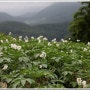 청옥산(靑玉山) "유월이 오면"