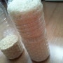 쌀벌레 예방하는 쌀 보관법 by 미즈톡