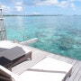 몰디브의 멋진 바다 샹그릴라 리조트 2