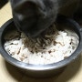 2014.06.18(TUE) 러시안블루 - 블루의 첫 간식! 닭가슴살