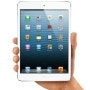 아이패드 미니 < iPad mini > 개봉기!! - 띠배군