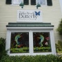 [키웨스트여행] 키웨스트 나비 온실 (Key West Butterfly & Nature Conservatory)