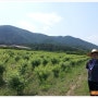 6월18일, 제1산초농장, 제2산초농장 전경사진 in 우보산초