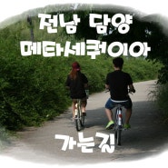 전남 담양 죽녹원(진우네집국수)에서 메타세쿼이아가로수길로 가는길! with 자전거