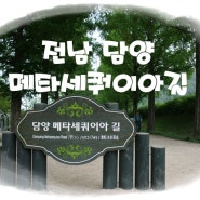 2014.06.09 전남 담양 가볼만한 곳 메타세쿼이아가로수길.