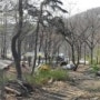 2014.04.08 용인자연휴양림캠핑장 (쏠캠)