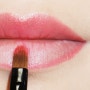 립스틱 예쁘게 바르는 법 :: 립 브러쉬를 이용해 깔끔하게 립스틱 바르는 TIP!