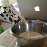 [강아지 우유]락토프리밀크 - 우유에 대한 오해와 진실