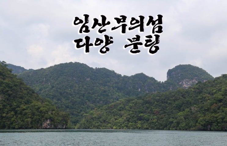 랑카위자유여행 ♡ 임산부의섬 다양분팅(Dayang Bunting) ♬